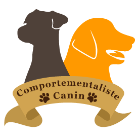 Logo Comportementaliste.be